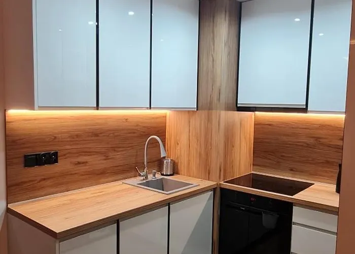 Apartamento Lovely Apartament Klimontowska 45f Sosnowiec